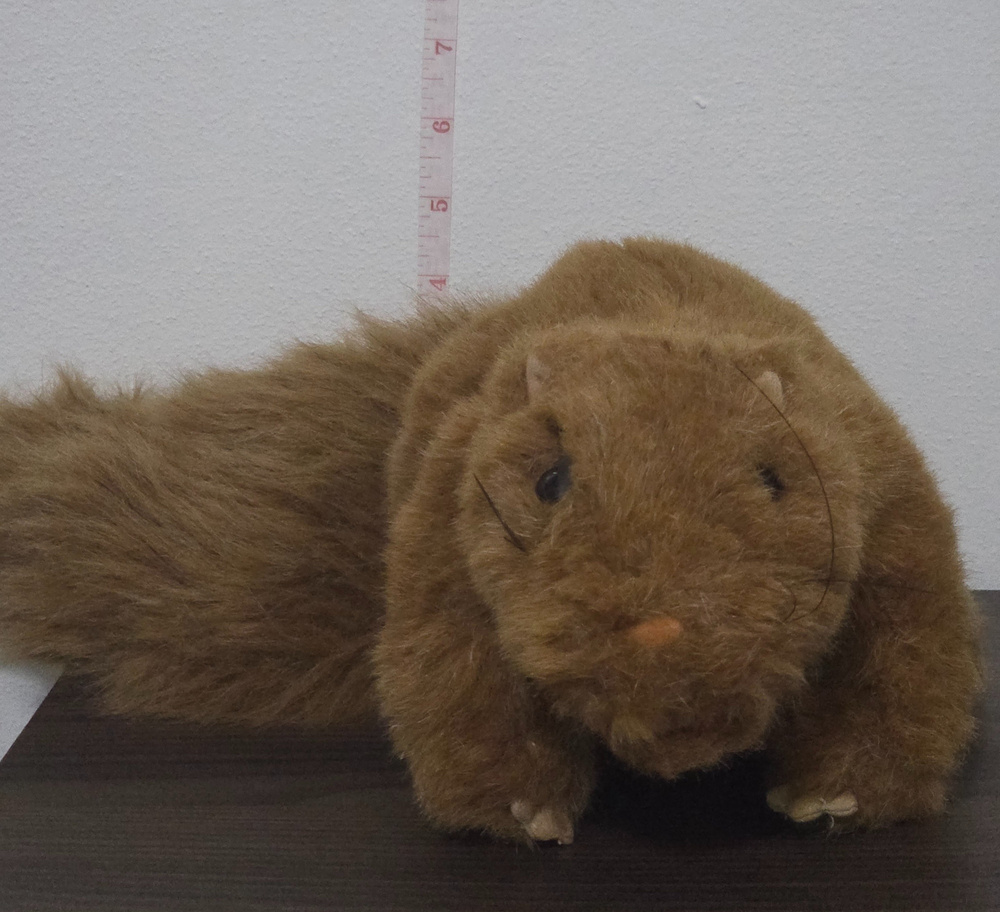 folkmanis squirel puppet